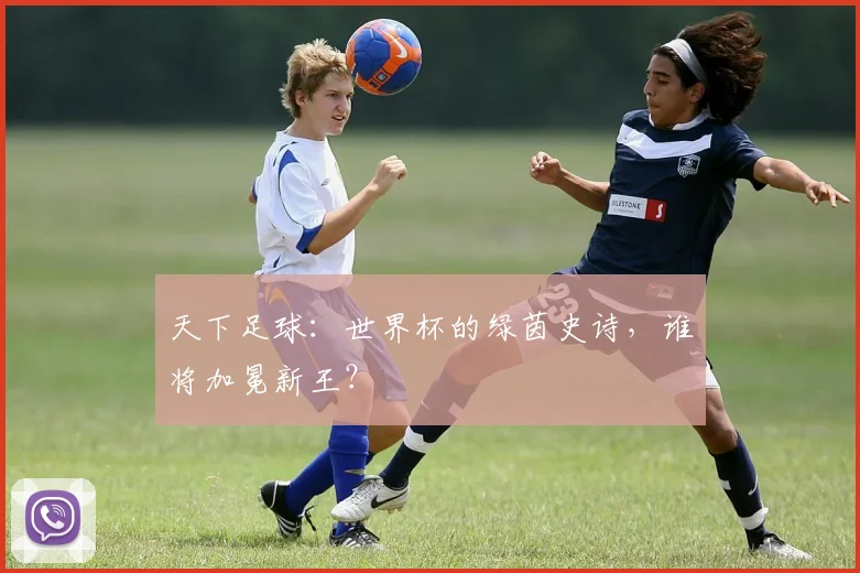 天下足球：世界杯的绿茵史诗，谁将加冕新王？