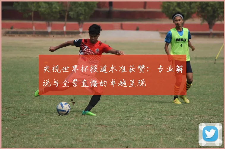 央视世界杯报道水准获赞：专业解说与全景直播的卓越呈现